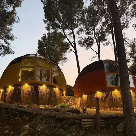 Aumara El Cid